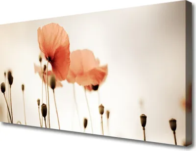 Produktbild von Tulup Leinwand-Bilder 100x50 Wandbild Canvas Kunstdruck Mohnblumen Pflanzen