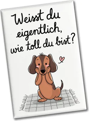 Produktbild von Niedlicher Dackel - Du bist toll Souvenir Souvenir Magnet
