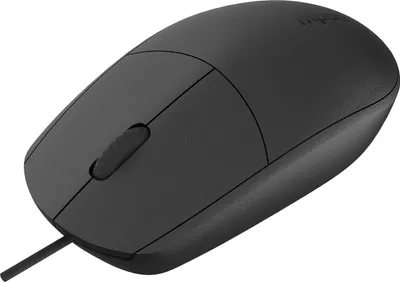 Produktbild von Rapoo N100-BK, Beidhändig, Optisch, USB Typ-A, 1600 DPI, Schwarz