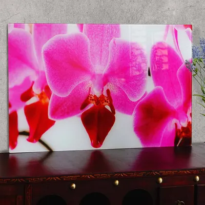 Obrázek produktu pro Skleněný obraz T116, Nástěnný obraz s motivem plakátu, 40x60cm  Orchidej