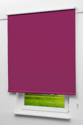 Produktbild von Lysel Outlet - Verdunkelungsrollo Dunkelmagenta, (B x H) 182.50cm x 190cm in violett/dunkelmagenta