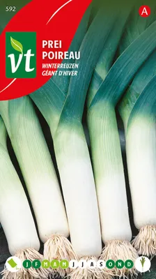 Immagine prodotto di Semi invernali di porro - Circa 5 gr | VT_592