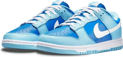 Produktbild von Nike Dunk Low Retro - QS Argon, DM0121-400, Größe 43