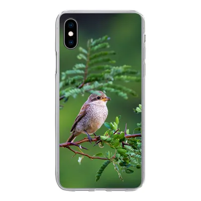 Produktbild von MuchoWow® Handyhülle Schutzhülle Hülle für iPhone Xs Vogel - Baum - Wald Silikon Softcase Handy Hülle - Handytasche