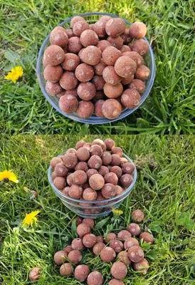 Produktbild von TTCarp Boilie Special Edition - Crazy Chicken 5kg 20mm