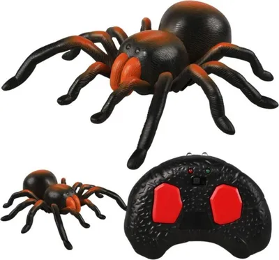 Obrázok produktu pre RC Tarantula