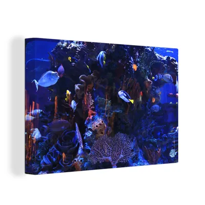 Obrázek produktu pro OneMillionCanvasses® Malba na plátně Nástěnná malba na plátně - Tropické mořské akvárium - 150x100cm