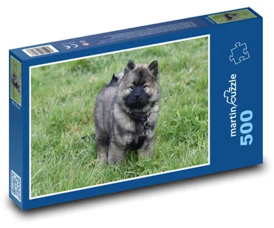 Obrázek produktu pro martinpuzzle - Puzzle 500 - Pes - Eurasier