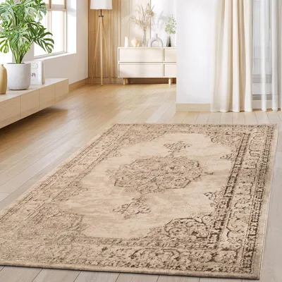 A living room with a rug on the floor, a plant on a shelf, and curtains.