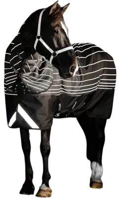 Produktbild von Horseware Ireland Weidedecke Amigo 50g 1200D Field Safe Reflectech Plus Turnout Decke Black/Reflective&Black 145 cm
