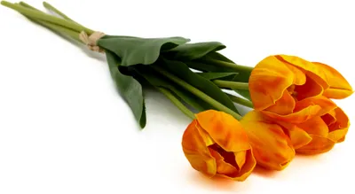 Produktbild von künstlicher Tulpen-Strauß orange 1 Bund Kunstpflanze Tulpe gebunden Tulip Bündel