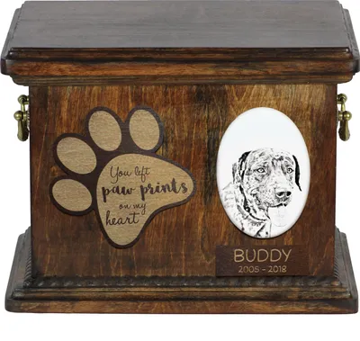 Zdjęcie produktu dla Catahoula Cur - urna na prochy psa, personalizowana urna ze zdjęciem, urna ze zdjęciem psa marki Art-Dog