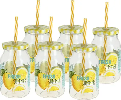 Produktbild von Trinkglas m. Strohhalm Fresh Summer 6er Set (450 ml)