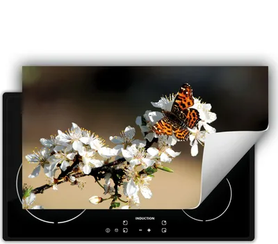 Produktbild von DarHaus Herdabdeckplatte 90x52 cm Anti Rutsch Matte Aufrollbar, Schmetterling - Blume