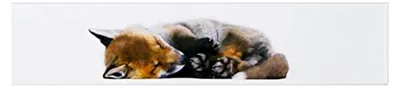 Produktbild von Handtuch 'Fuchs' 50 x 100 cm in Weiß