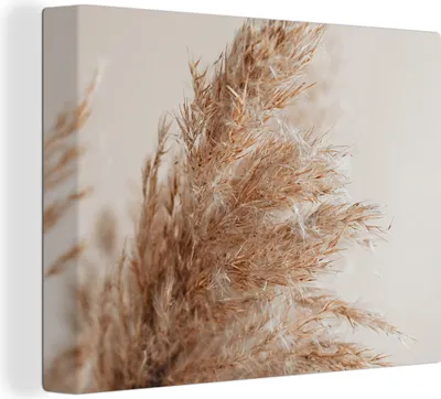 Produktbild von MuchoWow® - Leinwandbilder - Gras - Pflanzen - Natur - Pampasgras, Wandbild, Wanddeko Bilder Wohnzimmer, 40x30 cm