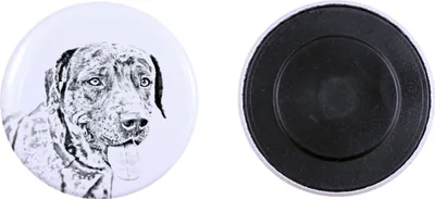 Obrázek produktu pro Art-Dog Magnet – Catahoula leopardí pes