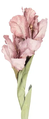 Produktbild von Clayre & Eef Kunstblume 85 cm Rosa Kunststoff