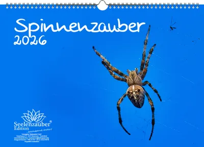Produktbild von Spinnenzauber DIN A3 Kalender für 2026 - Seelenzauber