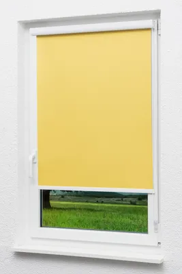 Produktbild von Lysel Outlet - Kassettenrollo abdunkelnd Zinkgelb, (B x H) 40cm x 175cm in gelb/Zinkgelb