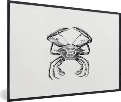 Produktbild von MuchoWow® Gerahmtes Poster Ernst Haeckel - Jahrgang - Kunst - Krabbe 30x20 cm - Poster mit Schwarzem Bilderrahmen Wandposter Rahmen Foto Bilder - Kunstdruck - Bild-Poster