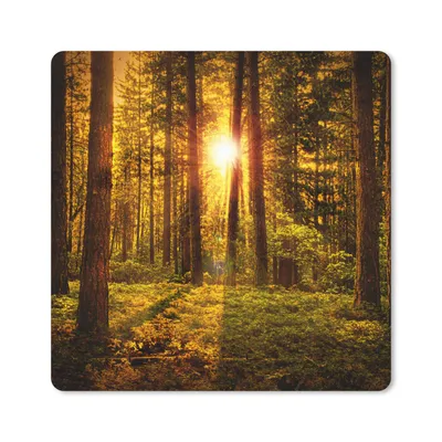 Produktbild von MuchoWow® Mauspad Mousepad Wald - Sonne - Bäume - Natur - Sonnenuntergang 20x20 cm - Mousepads - Maus Mat - Pad - Mausunterlage - Desk Mat - Bureauartikeln