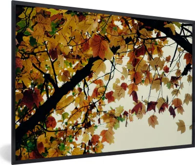 Produktbild von MuchoWow® Gerahmtes Poster Bäume - Herbstblätter - Natur 90x60 cm - Poster mit Schwarzem Bilderrahmen Wandposter Rahmen Foto Bilder - Fotorahmen - Foto-Plakat