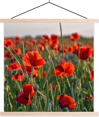 Produktbild von MuchoWow® Textilposter Blumen - Mohnblumen - Natur - Rot 40x40 cm mit holzfarbenen Rahmen - Posterleiste