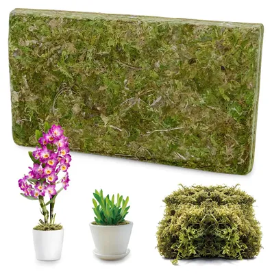 Immagine prodotto di Fibre naturali per terrari e giardinaggio