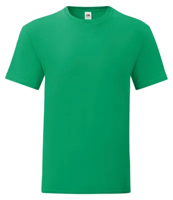 Productafbeelding van Fruit of the Loom - "Iconisch" T-shirt voor heren/dames, uni model LT2613 (XXL) (Iers groen)
