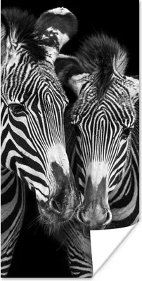Produktbild von MuchoWow® Poster Tierprofil Zebras in Schwarz und Weiß 60x120 cm - Wandschmuck