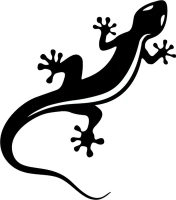 Produktbild von Hermann Schütz Aufkleber Gecko schwarz 110x95mm