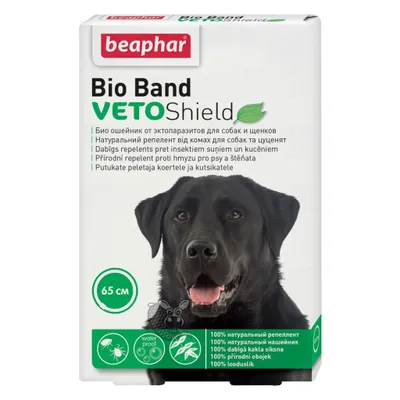 Produktbild von Antiparasitäres Hundehalsband Beaphar  Band 65 cm
