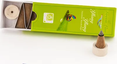 Produktbild von Berk Räucherkegel - Ylang - Green Line, 16 G
