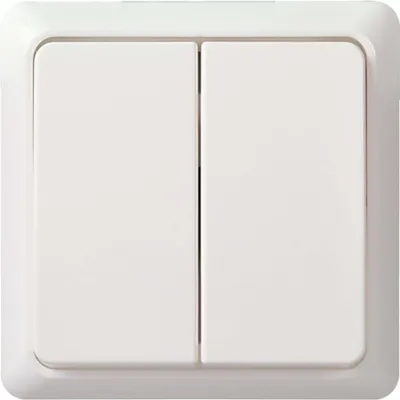 Immagine prodotto di Interruttore serie Elso rw 511504