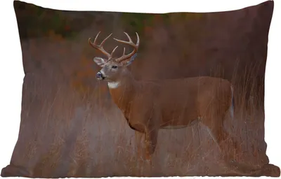 Produktbild von MuchoWow® Outdoor Kissen - Herbst - Hirsche - Gras - Natur - Tiere - 60x40 cm - Wetterfest - Lounge Kissen - Zierkissen - Kissen für Innenräume