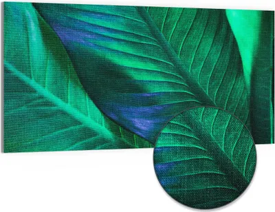 Produktbild von DEQORI Hybrid Leinwand Bild 100x50 cm 'Tropenblattstruktur' Wandbild Glas flach modern