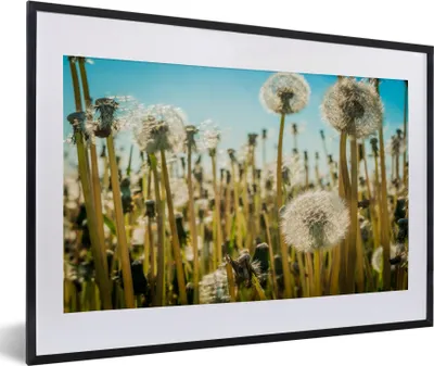 Produktbild von MuchoWow® Gerahmtes Poster Blumen - Löwenzahn - Gras 60x40 cm - Poster mit Schwarzem Bilderrahmen Wandposter Rahmen Foto Bilder - Schlafzimmer - Plakat in Rahmen - Drucken