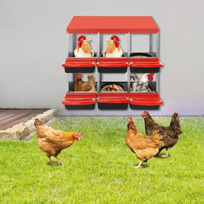 Productafbeelding van Kippennestkast - Legnestkast - Nestkast Voor Kippen - Kippenhok Nest - Eiernestkast - 6 Compartimenten