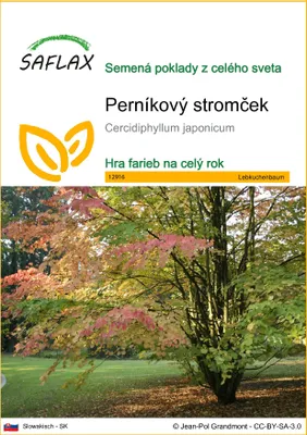 Obrázok produktu pre SAFLAX - perníkový stromček - Cercidiphyllum japonicum - 200 Semená