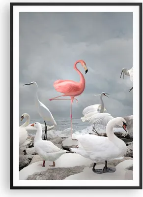 Produktbild von Gerahmtes Poster - Schwarzer Rahmen - Flamingo Schwan Fantasie - 70x100 cm - Wand Bild - Wanddeko - Wandbilder - Kunstposter - Wandposter - Bilderrahmen - Bilder - Kunstdruck - P2BPA70x100-4929