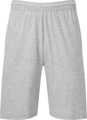 Produktbild von Fruit of the Loom - "Iconic" Jersey-Shorts für Herren PC7495 (M) (Grau meliert)