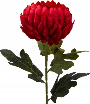 Obrázok produktu pre Chryzantéma so stonkou umelý kvet veľký 75 cm