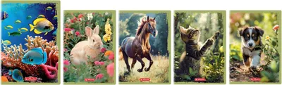Produktbild von Tiere Herlitz Notizbuch A5 16k kariert