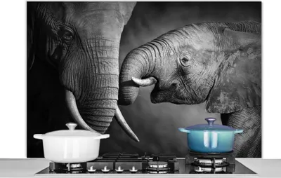 Produktbild von KitchenYeah®  Spritzschutz Küche - Küchenrückwand - Wandschutz für Herd und Spüle - Wildtiere - Elefant - Schwarz - Weiß - Porträt 120x80 - Alu-Dibond (Alternative zum Spritzschutz aus Glas) - Hitzebe