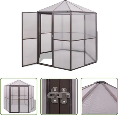 Zdjęcie produktu dla The Living Store Szklarnia aluminiowa 240×211×232 cm