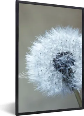 Produktbild von MuchoWow® Gerahmtes Poster Löwenzahn - Blume - Pflanze 60x90 cm - Poster mit Schwarzem Bilderrahmen Wandposter Rahmen Foto Bilder - Kunst