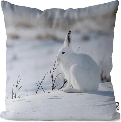 Produktbild von VOID Hase Schnee Schneehase Winter Tier Kissenbezug Kissenhülle Polyester wasserfest Outdoor Indoor