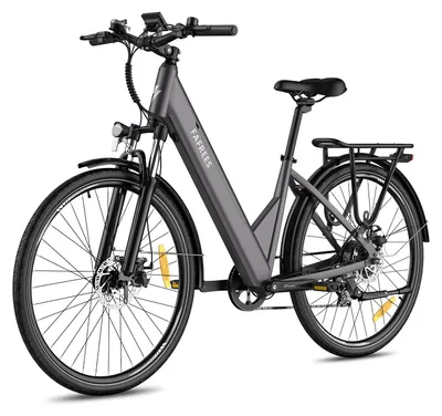 Image de FAFREES F28 PRO vélo électrique pliant - moteur 250W batterie 36V15Ah 55KM - Noir