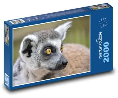 Obrázok produktu pre martinpuzzle – Puzzle 2000 – Lemur